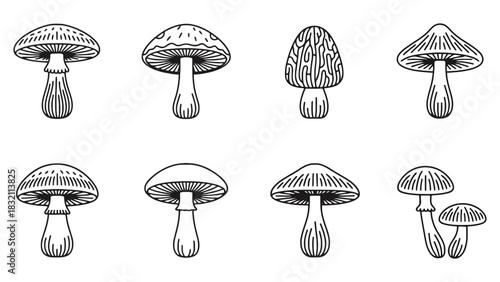 Eight outlined mushrooms with different shapes and line art details