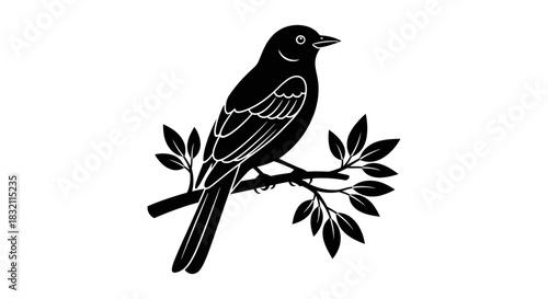 Black bird silhouette vector illustration on branch with leaves