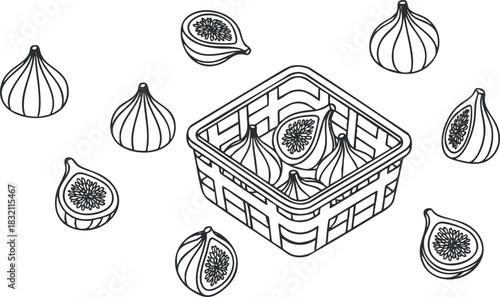 A collection of figs in an outline vector style, featuring a basket filled with fresh fruit, ideal for food illustrations