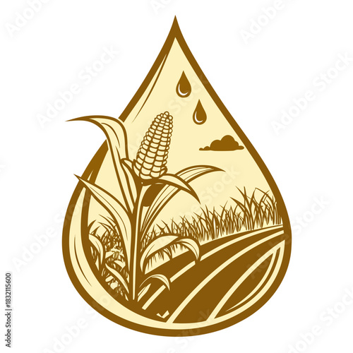 Stylized illustration of a corn stalk growing in a field with rain drops falling from a cloud