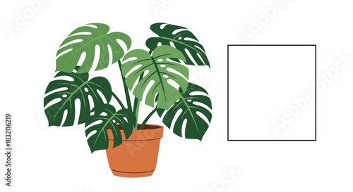 Potted Monstera deliciosa plant in a terracotta pot next to a blank rectangular frame, perfect for mockups and adding text.