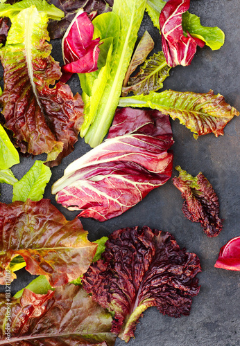 Variety of green lettuce salad leaves on wooden background, from above overhead top view