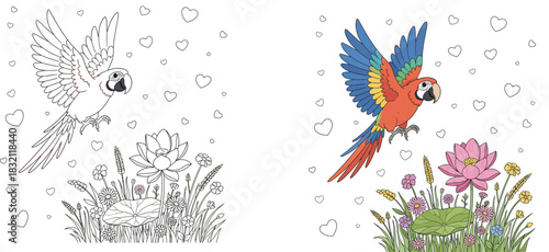 Colorful cartoon macaw parrot flying over beautiful lotus flowers and grass, happy bird character with love hearts background vector illustration