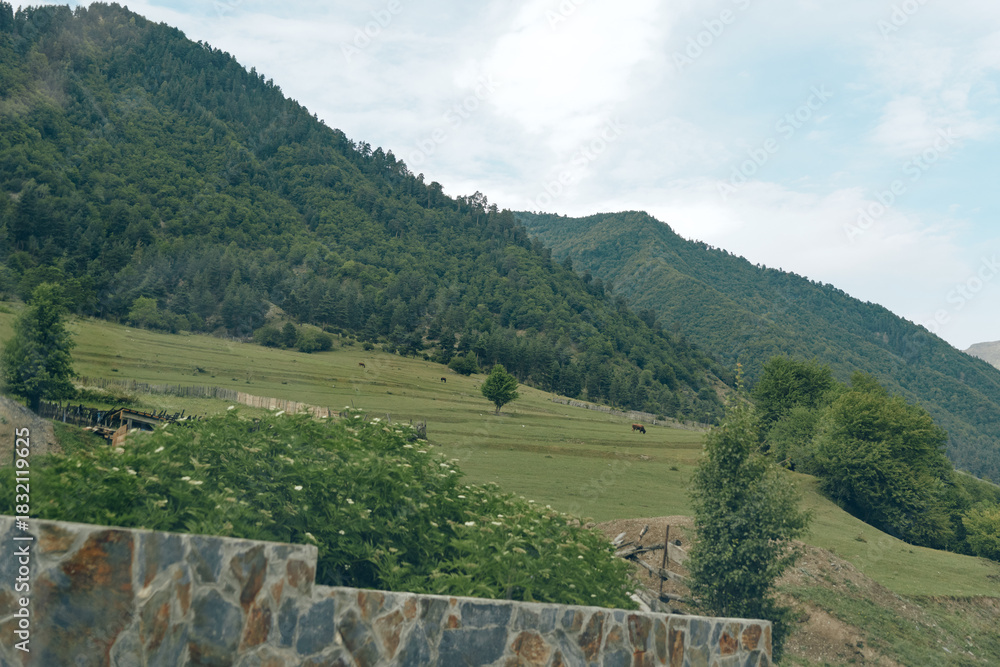 Naklejka premium Mountain hillside terrace vineyard stonewall landscape with green slopes and terraced fields under cloudy sky rural agriculture scene with trees grass and natural hillside panorama