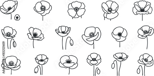 A collection of hand-drawn poppy flowers in black outline vector style, ideal for floral design projects and textiles