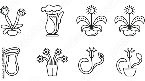 Assorted botanical line drawings of flowers and potted plants on white