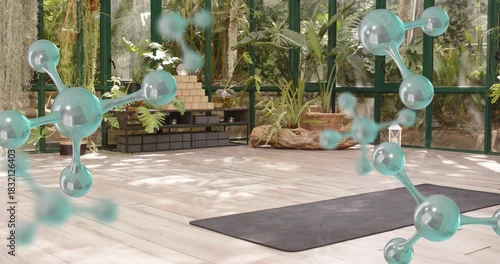 Fototapeta samoprzylepna Placing black exercise mat centering on light wood floor in glass greenhouse, showing teal overlays