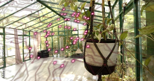 Hanging macrame planter holding trailing vine in glass greenhouse, wooden floor shadows, copy space