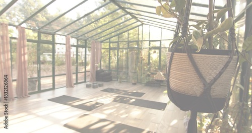 Swinging woven hanging planter holding trailing foliage in glass studio, with yoga mats, copy space