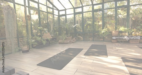 Displaying greenhouse-style yoga studio preparing for class with three dark mats, blocks, plants
