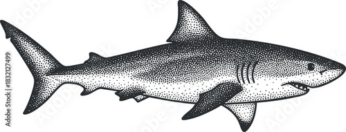 A detailed illustration of a shark in black and white dot style, ideal for marine life projects and educational materials