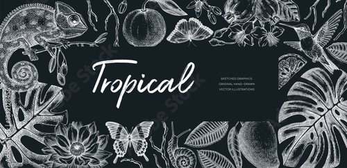 Tropical background in sketch style. Exotic fruit, leaves, flower and animal hand drawn vector illustration. Vintage frame design. Not AI generated 