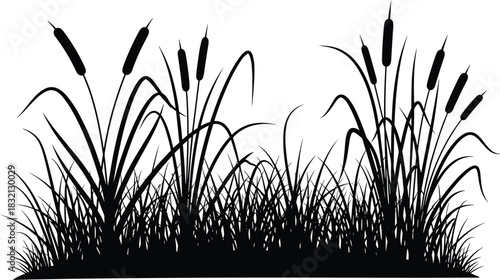 Reeds and cattails silhouette vector, swamp grass border illustration, black marsh vegetation isolated on white background