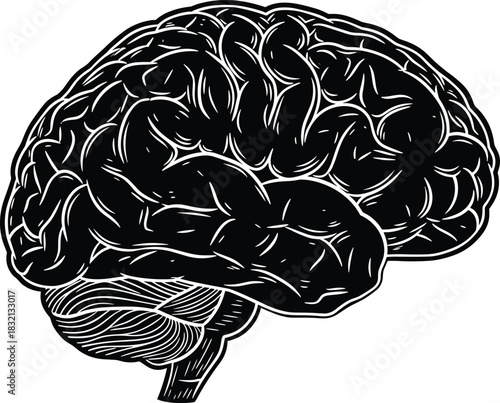 Human brain silhouette, cerebral cortex, anatomy illustration, neuroscience icon, black vector, flat design, educational graphic, biology concept