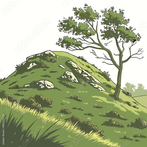 Stylized illustration of a lone tree on a grassy hill with rocks and sparse vegetation