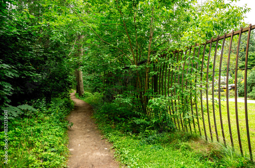 Peaceful Green Path Through Dense Forest Along The Fence In Victory Park On Poklonnaya Hill, Moscow, Russia, 10 August 2025