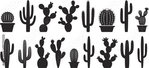 Collection of Diverse Cactus Silhouettes in Pots and Without succulent plant