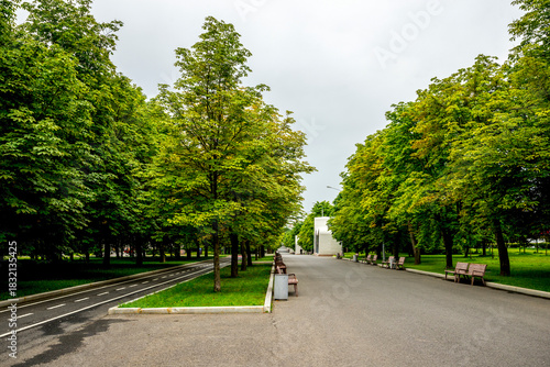 Tree-Lined Alley With Trees And Benches in Victory Park on Poklonnaya Hill, Moscow, Russia, 10 August 2025