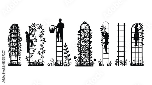 Garden trellis ideas black silhouette garden ladder design