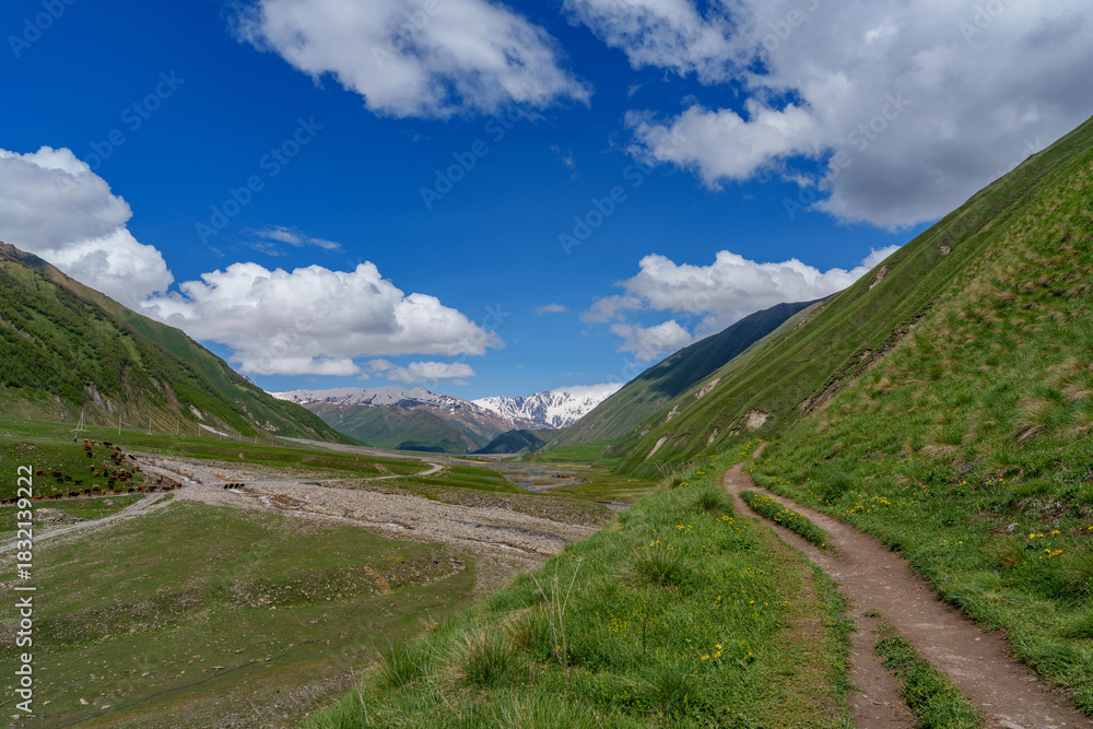 Fototapeta premium Narrow trail winding through wide green Caucasus valley to snowy peaks