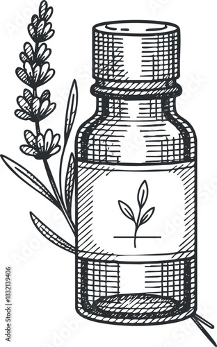 A sketch of a lavender essential oil bottle with a floral design in vintage style, suitable for wellness branding