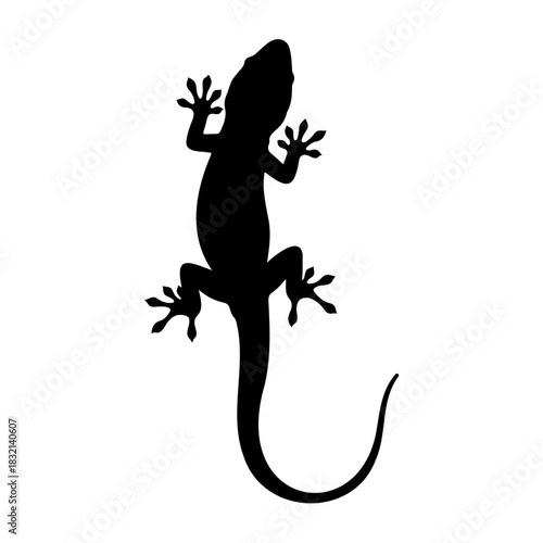 Silhouette of a gecko with its feet spread on a white background view