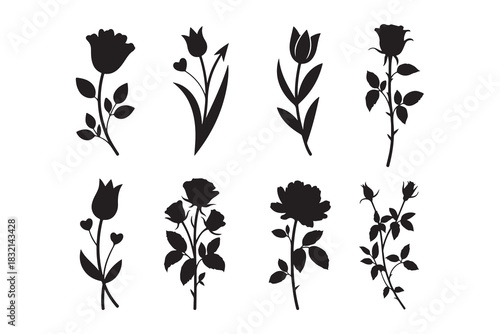 a collection of delicate floral arrangements displayed in a striking black and white silhouette high quality