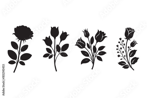 a collection of four different roses in varying stages of bloom shown as a dark striking silhouette