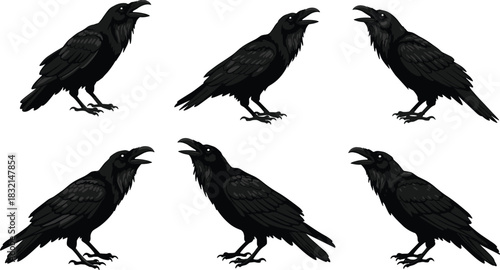 Black Raven Silhouettes in Varied Poses, Realistic Feather Detail, Side Profiles, Ornithology Reference, Halloween Theme, Bird Behavior, Gothic Design, Motion