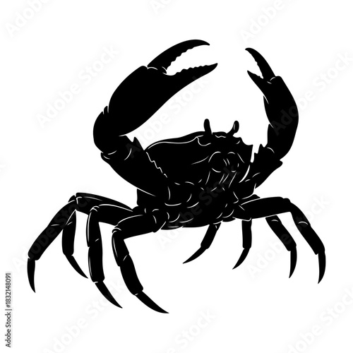 Silhouette of a crab with large claws raised on a white background art