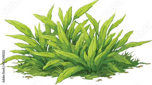 Vibrant Botanical Illustration of Plant with Green Leaves and Grass Vector