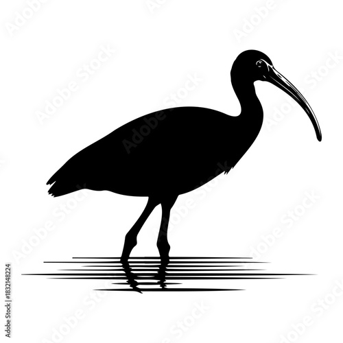 A silhouette of an ibis standing in water with a long curved beak side