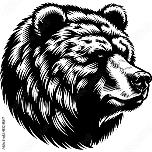 Grizzly Bear Illustration - Detailed Black and White Vector Art with Fierce Expression and Powerful Wildlife Portrait