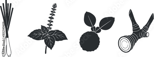 A collection of culinary herbs and vegetables including scallions, basil, and lemongrass in black silhouette vector style, suitable for food packaging and culinary designs