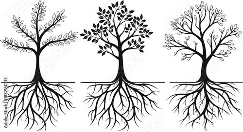 Minimalist vector set of three stylized trees, each with exposed roots and distinct foliage.