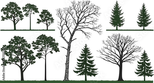 Variety of tree silhouettes: deciduous with leaves, bare winter, and evergreen conifer