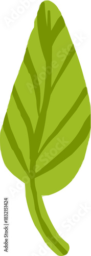 Watercolor Sketchy Simple Isolated Green Leaf Element