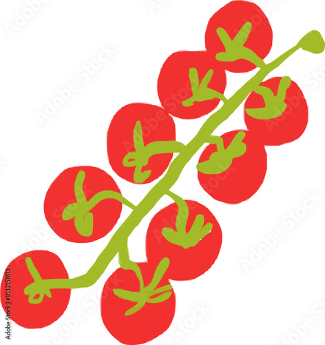 Watercolor Sketchy Cherry Tomatoes on the Vine Branch