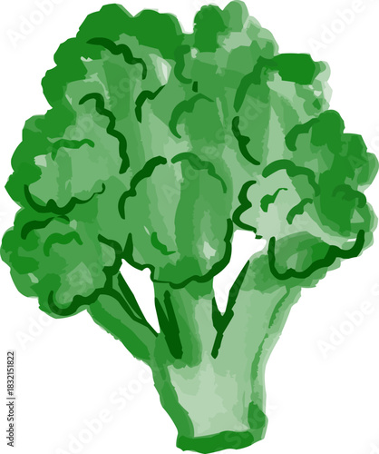 Watercolor Sketchy Isolated Fresh Green Broccoli Florets
