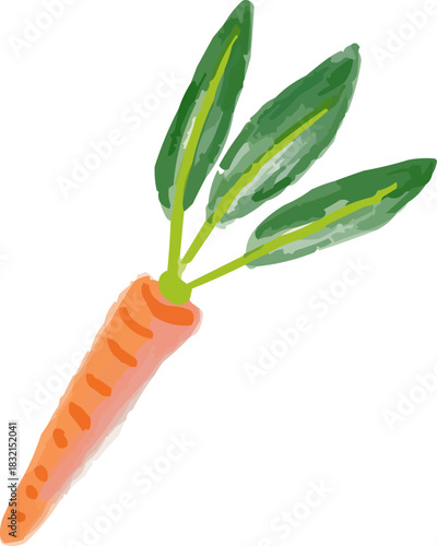 Watercolor Sketchy Fresh Carrot with Green Leaves