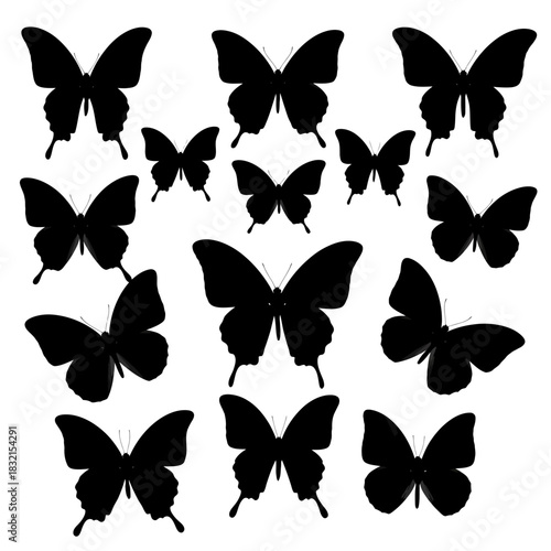 collection of butterflies