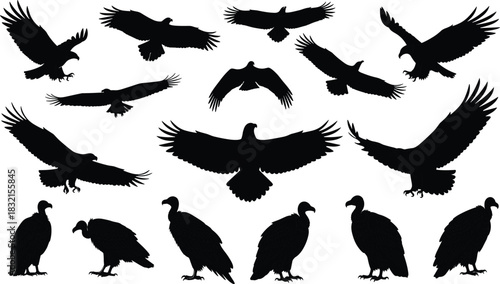 Collection of black silhouette eagles and vultures in various flight and standing poses