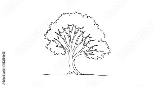 Elegant Tree Outline - A Single Continuous Line Drawing.