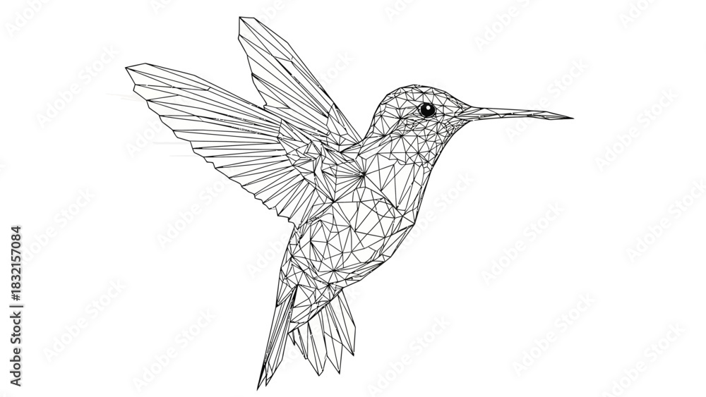 Fototapeta premium Detailed Line Drawing of a Hummingbird in Flight.