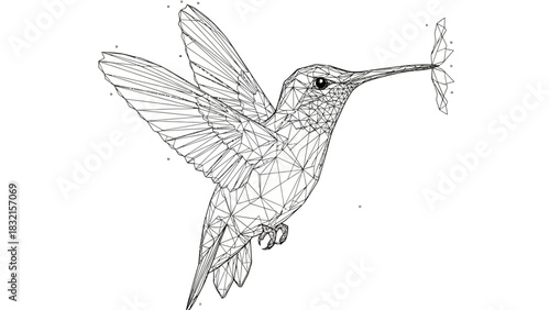 Hummingbird in flight detailed illustration with geometric lines and wings spread wide.