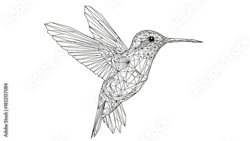 Detailed Line Drawing of a Hummingbird in Flight.