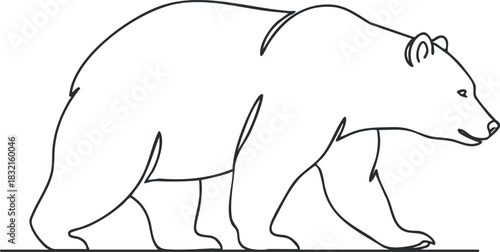 An outline drawing of a bear in minimalist vector style, suitable for wildlife conservation themes