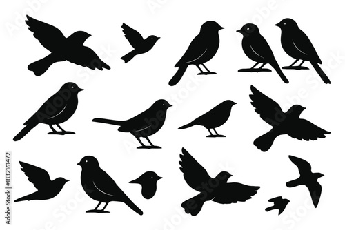 Collection of various black bird silhouettes in flight and standing poses