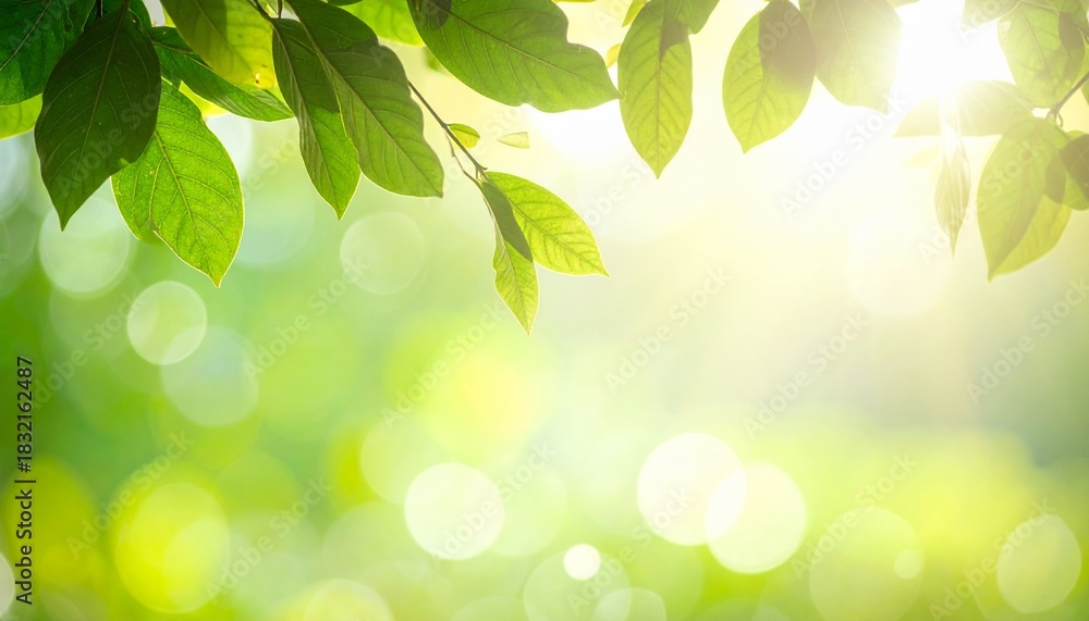 Naklejka premium green leaves background