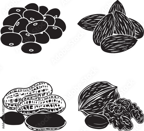 Four different types of dried fruits and nuts in a collage illustration